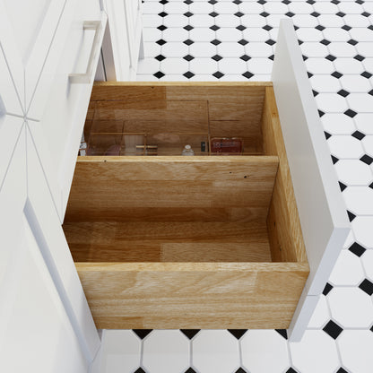 Terrence II Single Sink Bathroom Vanity With Stealth Organizer, Solid Wood Bathroom Cabinet with Engineered Stone Countertop & Backspalsh, Soft Closing Door & Drawer, Pre-Assembled
